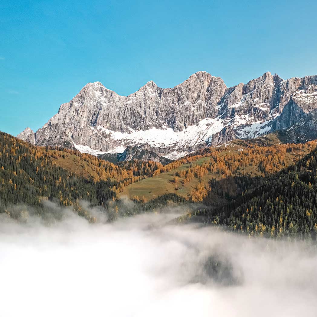 Waidzeit Dachstein Otomatik Saat
